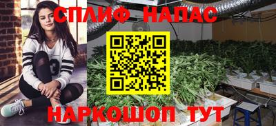 прущий лед Тара