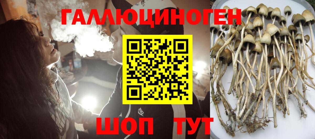 Полысаево  Галлюциногенные грибы Psilocybine cubensis  цены наркотик  Вход с VPN 